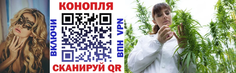 Каннабис план  Купить  Моршанск 